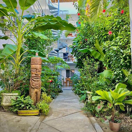 Kite House Cabarete Across Kite Beach Экстерьер фото