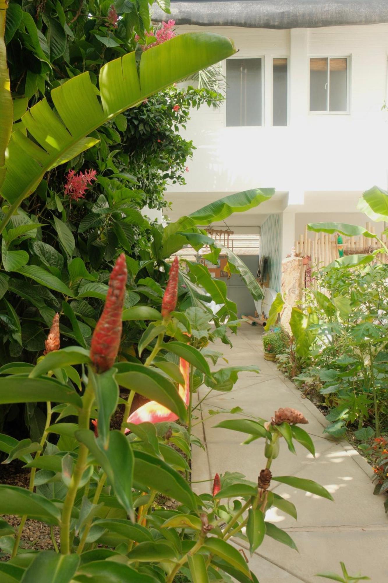 Kite House Cabarete Across Kite Beach Экстерьер фото
